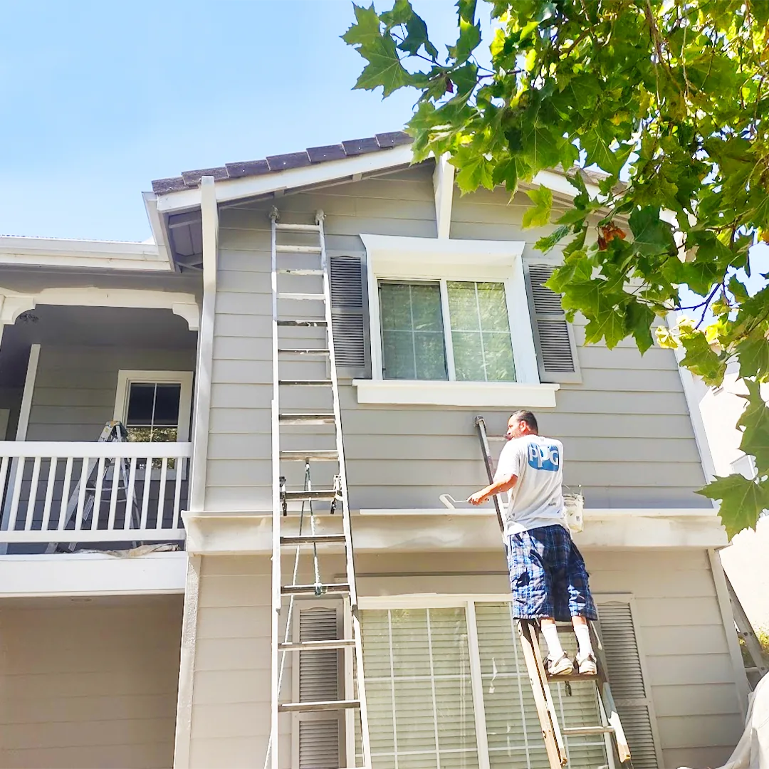 Painting in Santa Ynez, CA